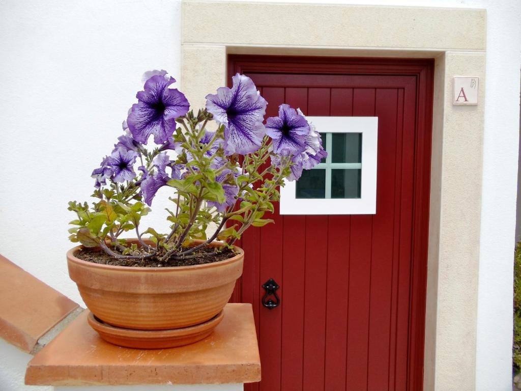 Casa Do Largo - Golega - Turismo De Habitacao Hotel ภายนอก รูปภาพ